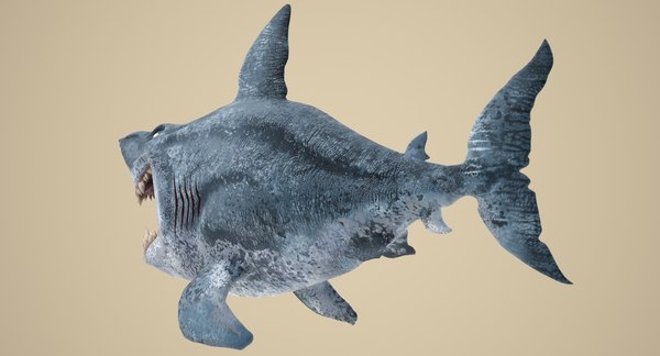 3D model shark cartoon - TurboSquid 1323005