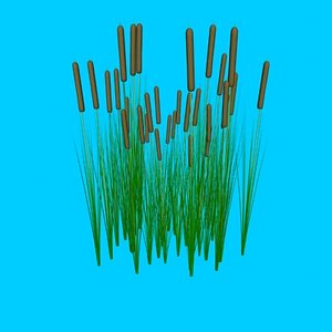 cat_tails.3ds