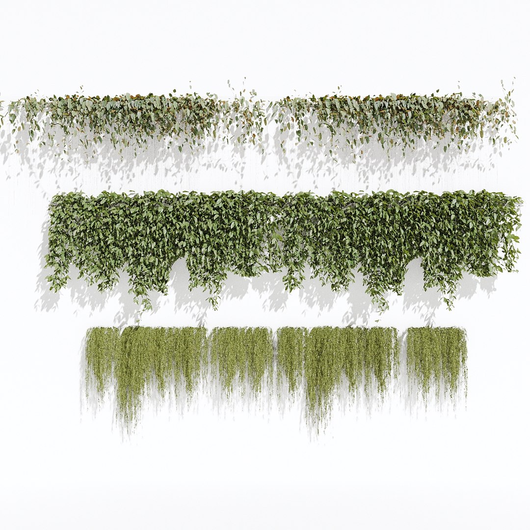 Ivy Plant 3D model https://p.turbosquid.com/ts-thumb/Io/40qWVe/C7/preview/jpg/1714245835/1920x1080/fit_q87/13876393b489d8b91e2d0ce0341db853ae6156fe/preview.jpg
