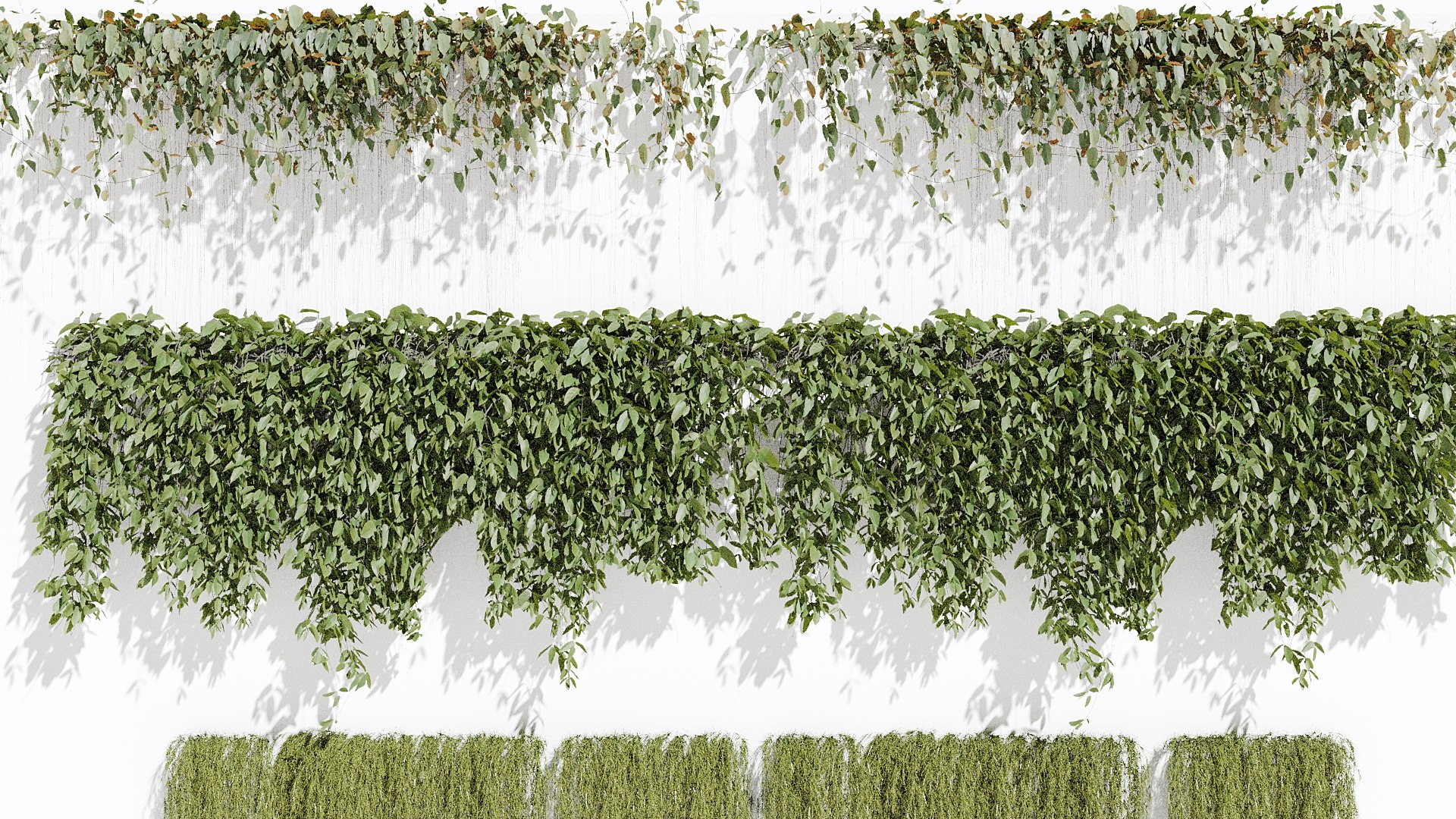 Ivy Plant 3D model https://p.turbosquid.com/ts-thumb/Io/40qWVe/hY/z05/jpg/1714245832/1920x1080/fit_q87/2944e9cecdef18cfbce7f042745a6c8a4415694b/z05.jpg