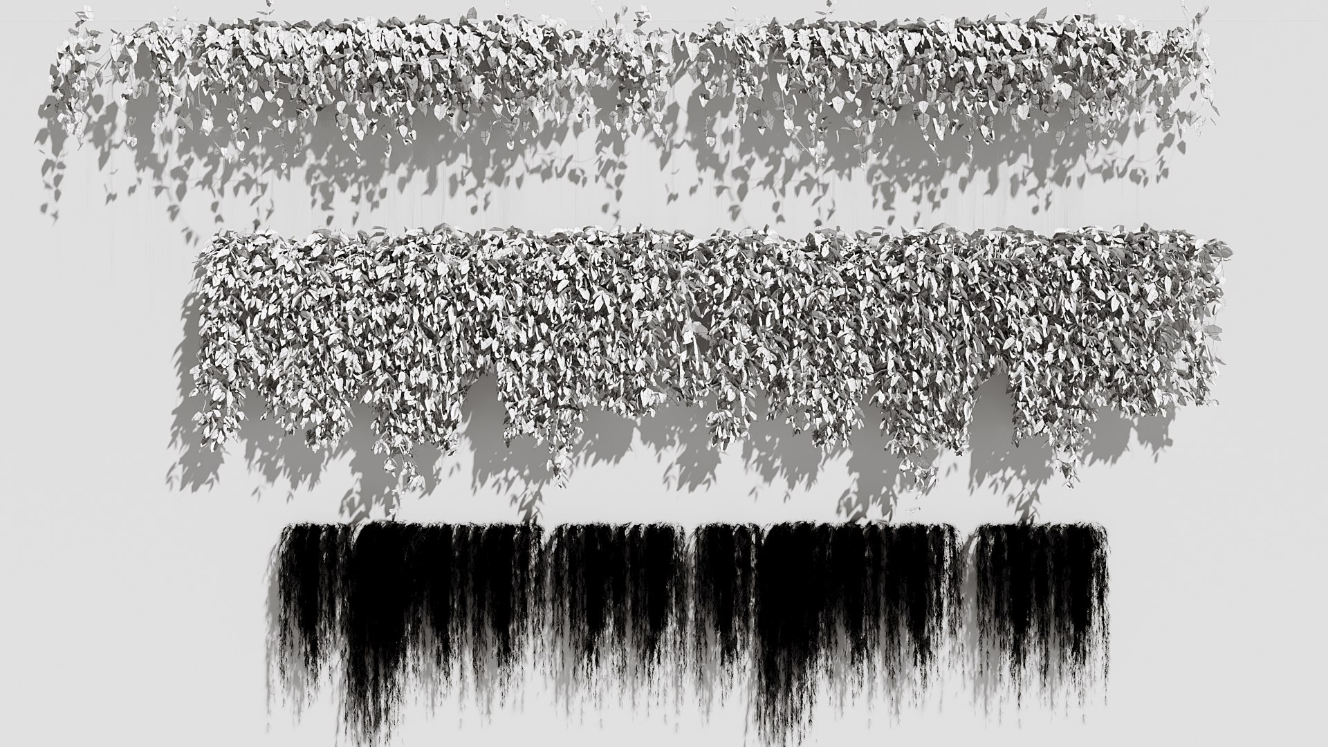 Ivy Plant 3D model https://p.turbosquid.com/ts-thumb/Io/40qWVe/sa/wire/jpg/1714245835/1920x1080/fit_q87/55620f57f6abc92e972bbe620256fe6f1329c7dc/wire.jpg