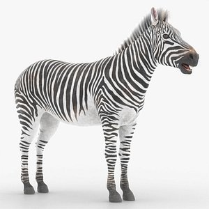 African Zebra Fur Rigged For Blender