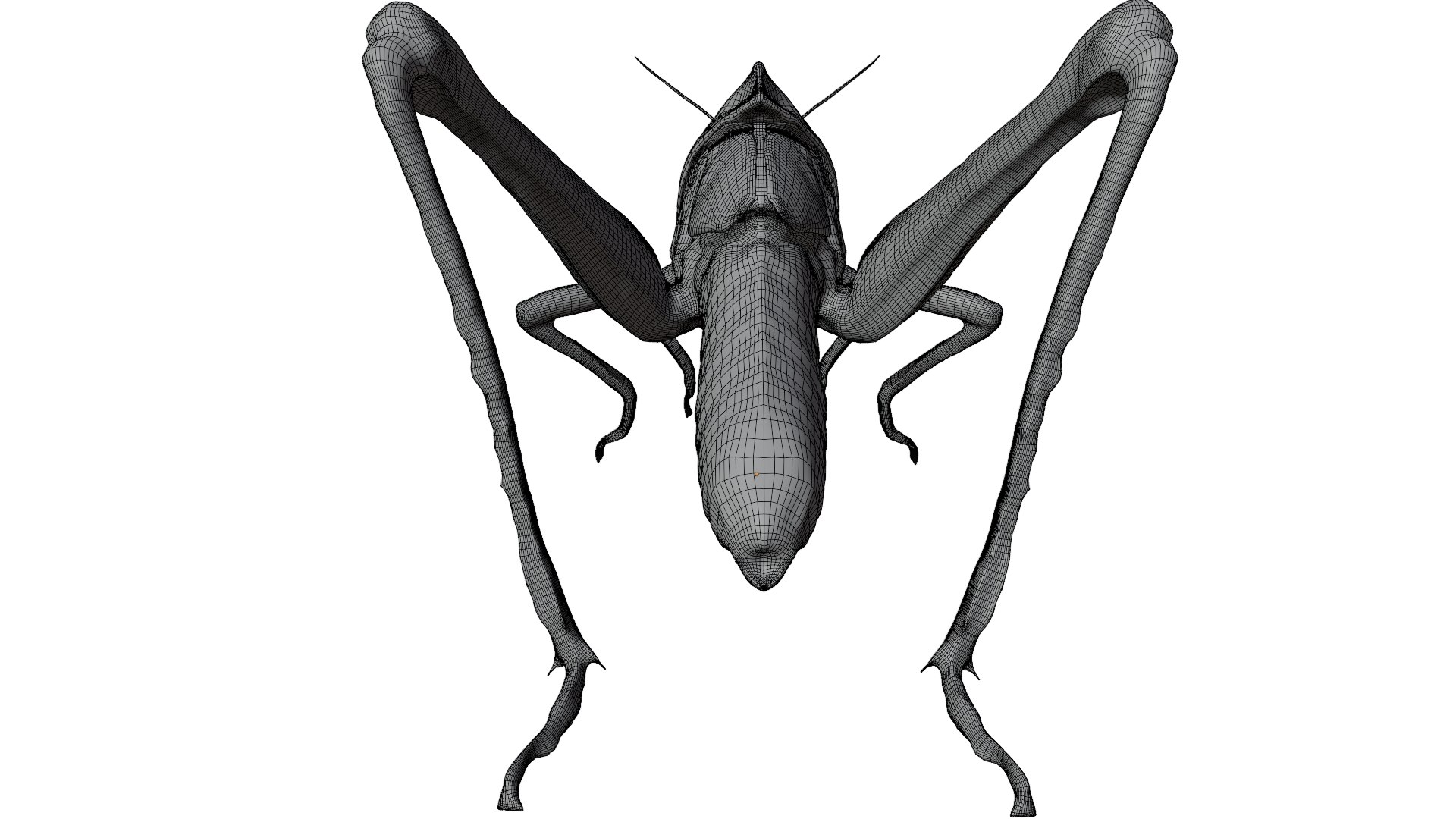 Migratory Locust 3D - TurboSquid 2384479