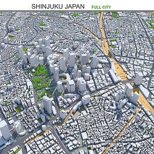 Shinjuku Japan model