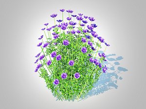 3D Geramium - Orion Cranesbill
