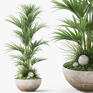 Plants collection 1056 3D model
