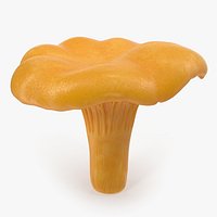 Chanterelle Mushroom 3D Model
