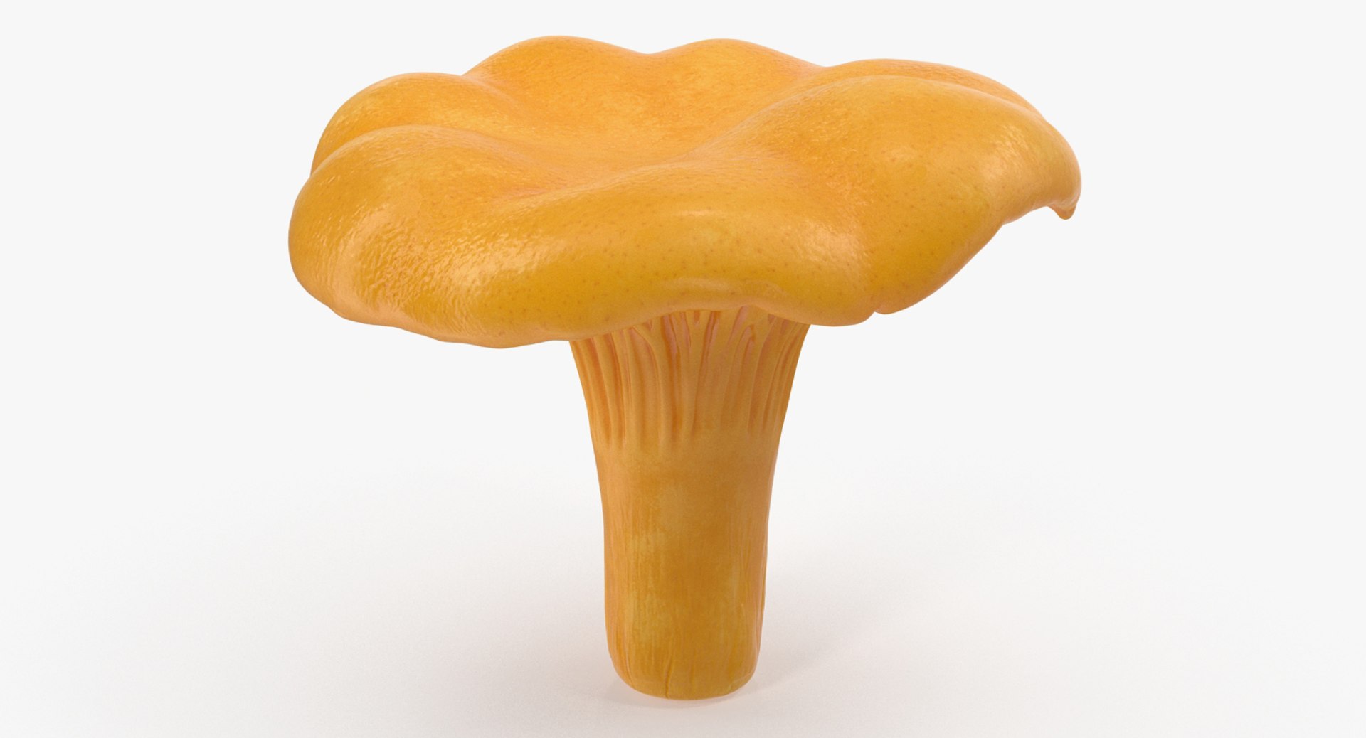 Chanterelle Mushroom 3D Model 3D model preview