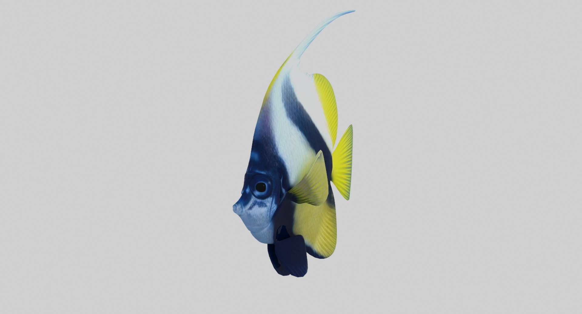 fish marine tropical 3d model https://p.turbosquid.com/ts-thumb/Ip/0PUheP/F1jrg3Dp/2/jpg/1486640920/1920x1080/fit_q87/88bb752f660a5b183981b59b26b17bbb8c78f141/2.jpg