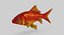 Fish Collection