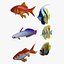 Fish Collection