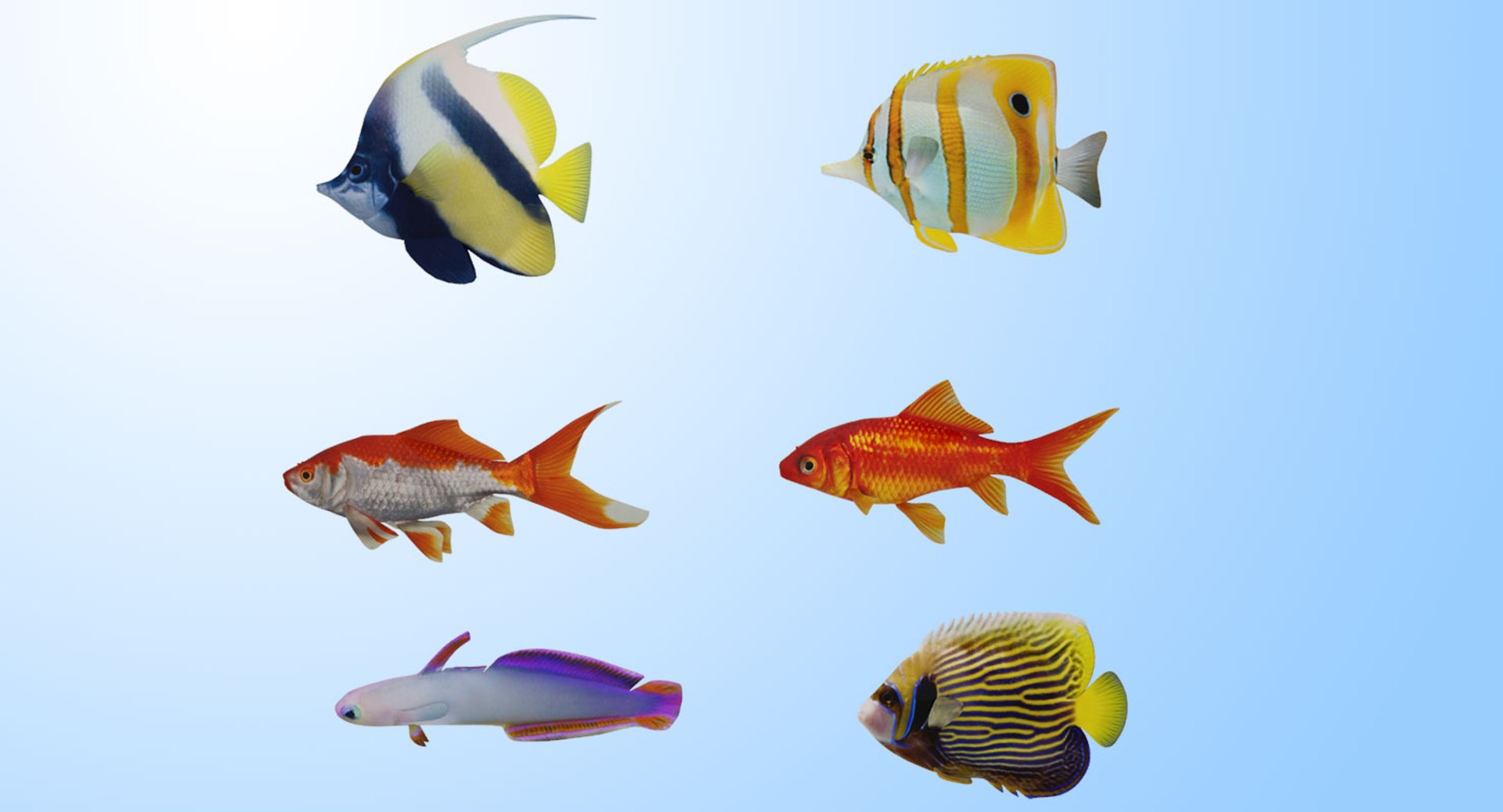 fish marine tropical 3d model https://p.turbosquid.com/ts-thumb/Ip/0PUheP/hVdkvxd8/21/jpg/1513987893/1920x1080/fit_q87/bb35e88e5847d62678b86ddfc8020c0dd0aedefb/21.jpg