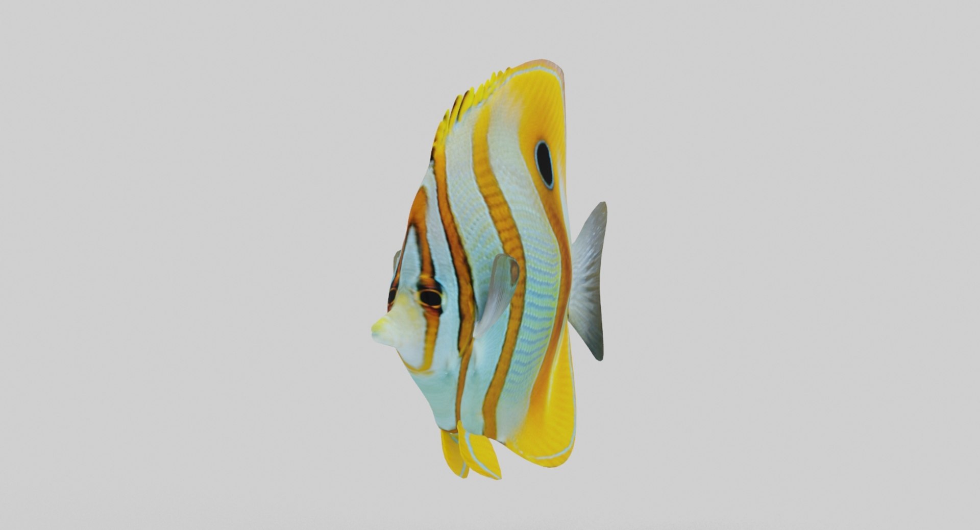 fish marine tropical 3d model https://p.turbosquid.com/ts-thumb/Ip/0PUheP/lc4oXTbk/4/jpg/1486640920/1920x1080/fit_q87/39e96734a1c9c92107a1fc8a94c85f7ebaa60333/4.jpg