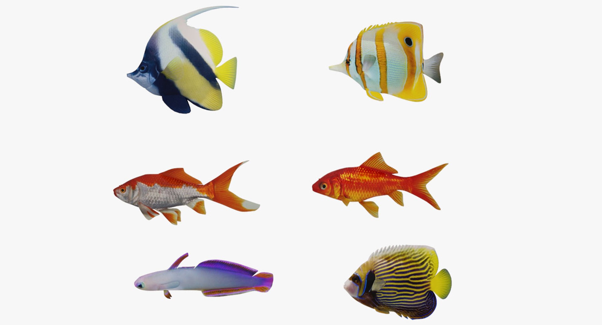 fish marine tropical 3d model https://p.turbosquid.com/ts-thumb/Ip/0PUheP/mJFFiwys/1480/jpg/1513987872/1920x1080/fit_q87/e7ce66be67b564e19d1e043e35db3ce7c29cb19d/1480.jpg