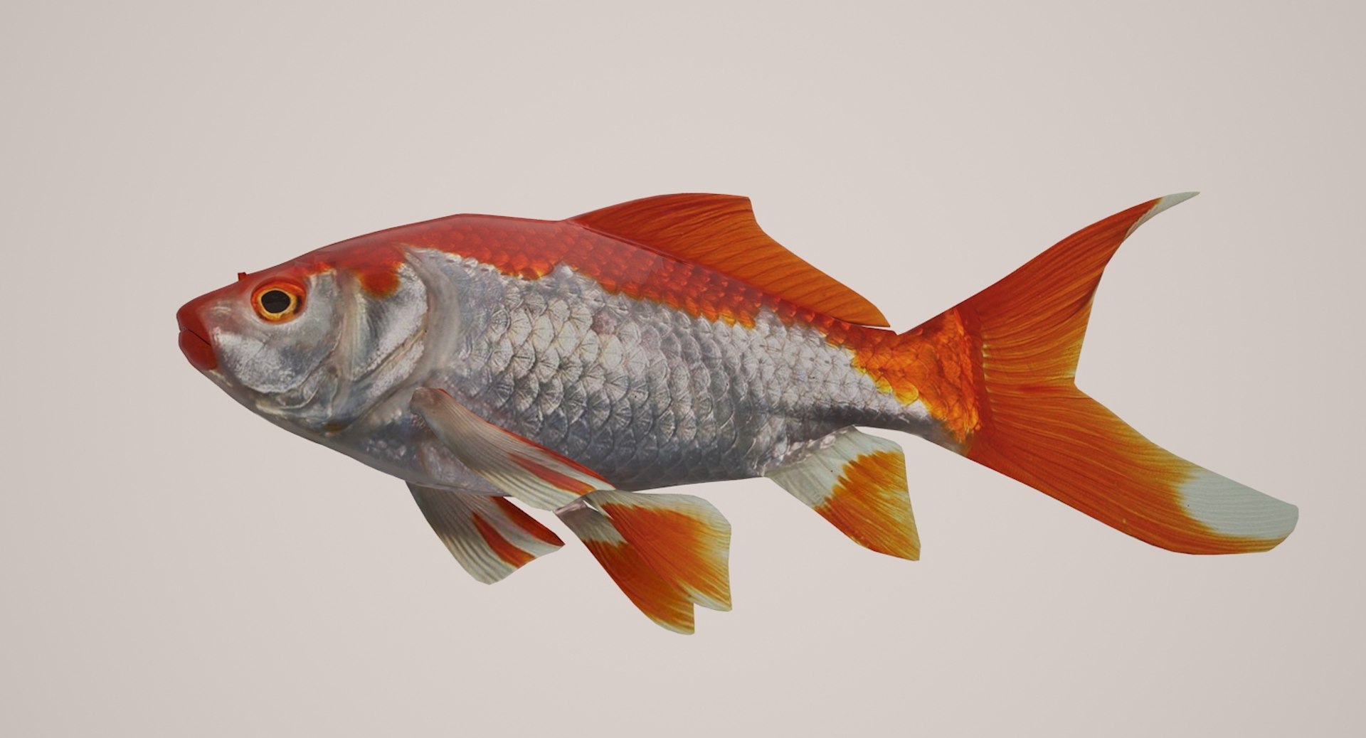 fish marine tropical 3d model https://p.turbosquid.com/ts-thumb/Ip/0PUheP/mymUmIku/1400/jpg/1486640958/1920x1080/fit_q87/6791522df4cc7a69aa49b6ce1291c9c1edf12141/1400.jpg