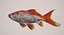 Fish Collection