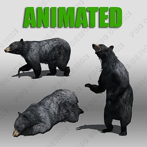 black bear animations 3d model