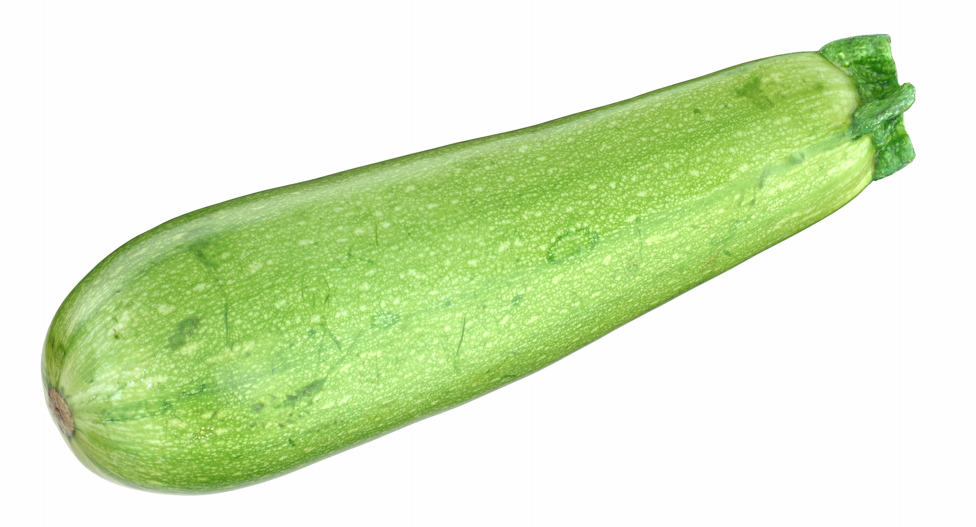 Vegetables Collection 05 - 10 models model https://p.turbosquid.com/ts-thumb/Ip/4m3vwZ/02/0000/png/1574673771/1920x1080/turn_fit_q99/6f1475ea1bedc2ab4d3cbbfc5100f4aef761b3ab/0000-1.jpg