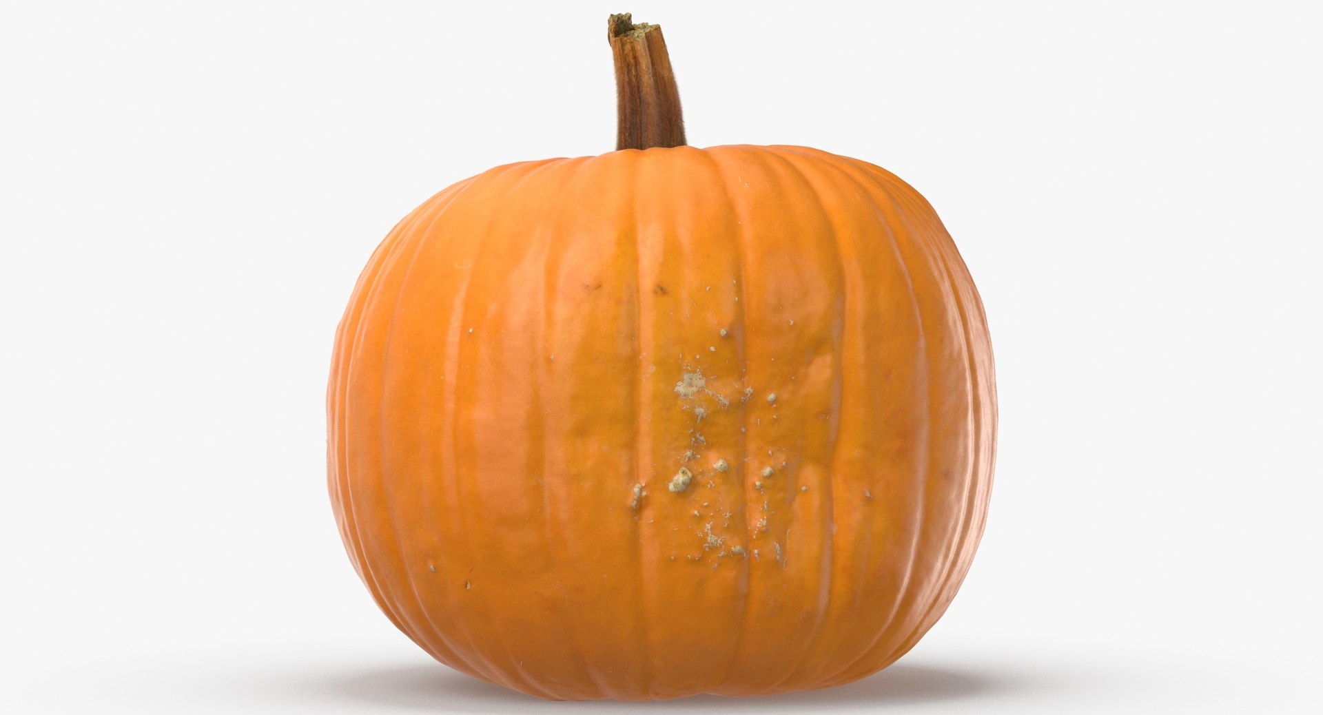 Vegetables Collection 05 - 10 models model https://p.turbosquid.com/ts-thumb/Ip/4m3vwZ/7T/jack_o_lantern_pumpkin_04_thumbnail_0006.jpgfc2e531ae80a4e729e7adc5c33b0acdfzoom/jpg/1635428151/1920x1080/fit_q87/2af694bd18616f9b9043f413205ca9c4af5ebcaa/jack_o_lantern_pumpkin_04_thumbnail_0006.jpgfc2e531ae80a4e729e7adc5c33b0acdfzoom.jpg