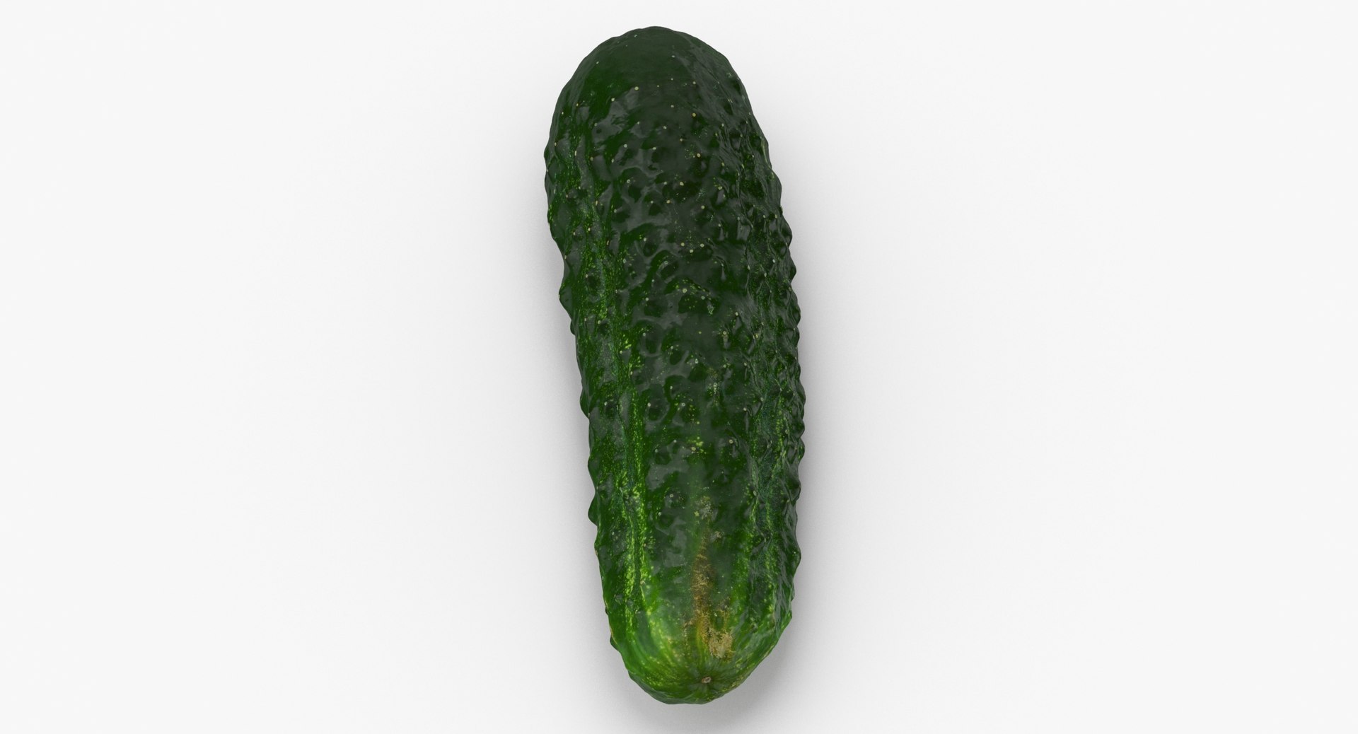 Vegetables Collection 05 - 10 models model https://p.turbosquid.com/ts-thumb/Ip/4m3vwZ/8I/kirby_cucumber_04_thumbnail_.0003/jpg/1635428231/1920x1080/fit_q87/e139f0951721c2037ed86fee886f063d8bf32fab/kirby_cucumber_04_thumbnail_.0003.jpg
