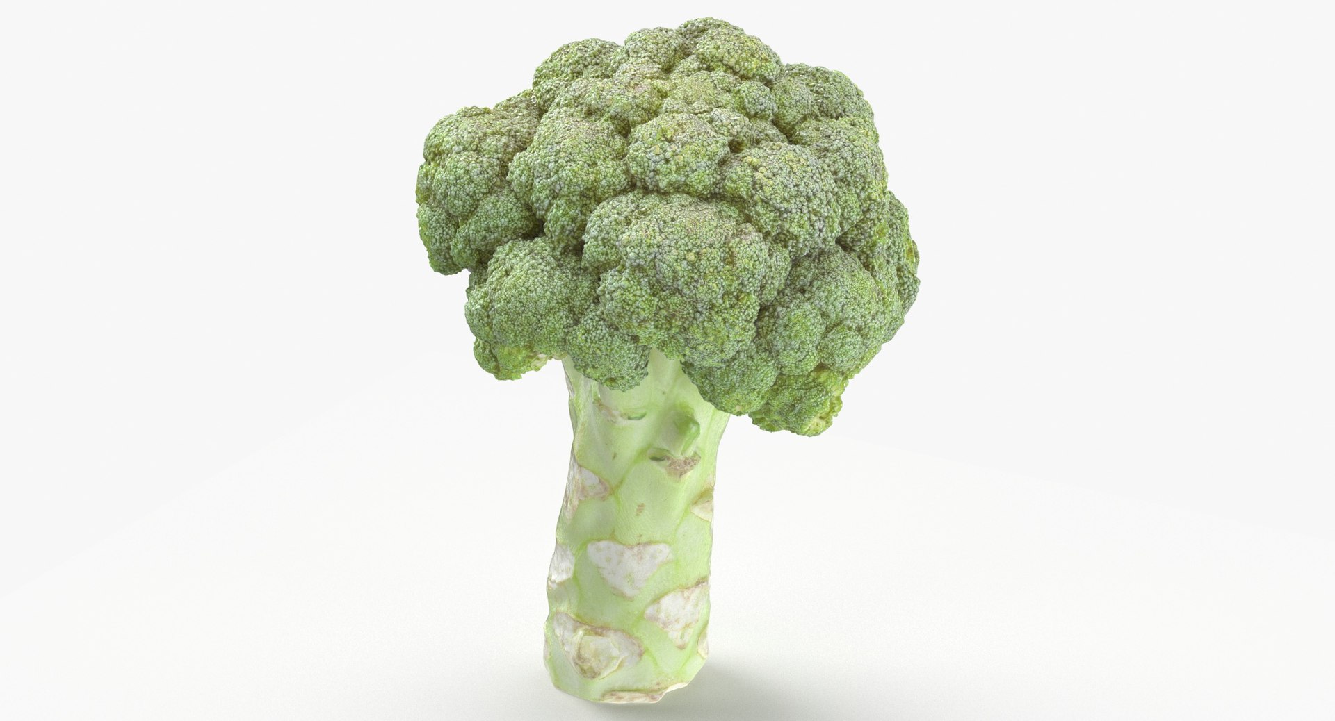 Vegetables Collection 05 - 10 models model https://p.turbosquid.com/ts-thumb/Ip/4m3vwZ/M3/broccoli_stem_01_thumbnail_0002/jpg/1635428150/1920x1080/fit_q87/094b392588dc87eb2f3f6f96b7e62b7a0f39d9cb/broccoli_stem_01_thumbnail_0002.jpg