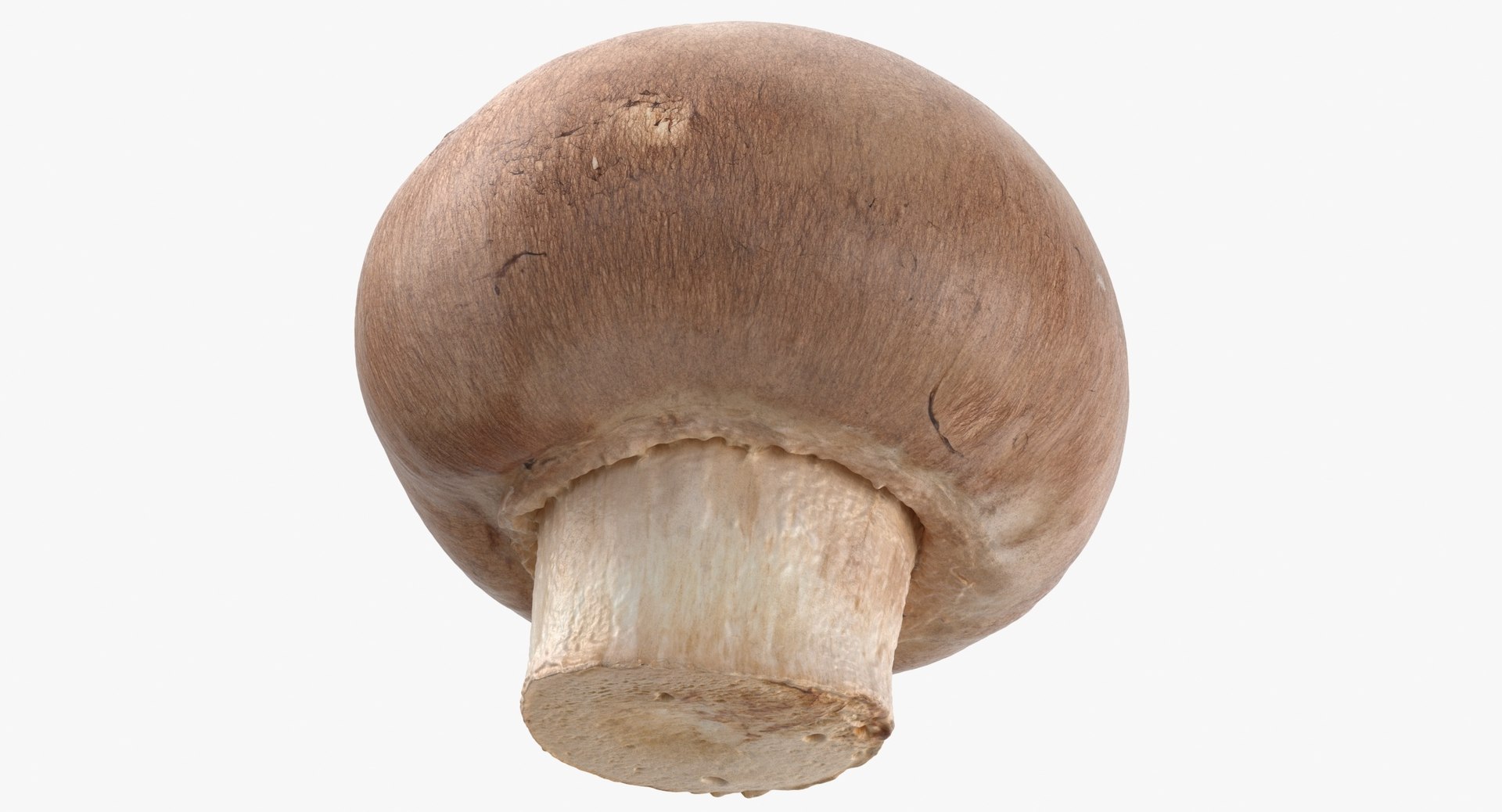 Vegetables Collection 05 - 10 models model https://p.turbosquid.com/ts-thumb/Ip/4m3vwZ/Mz/crimino_mushroom_01_thumbnail_0008.jpgbfc80398241f4de0930f7855d2d9abbezoom/jpg/1635428207/1920x1080/fit_q87/9de1f7fcf332eda974bba9623f6daafe4a490922/crimino_mushroom_01_thumbnail_0008.jpgbfc80398241f4de0930f7855d2d9abbezoom.jpg
