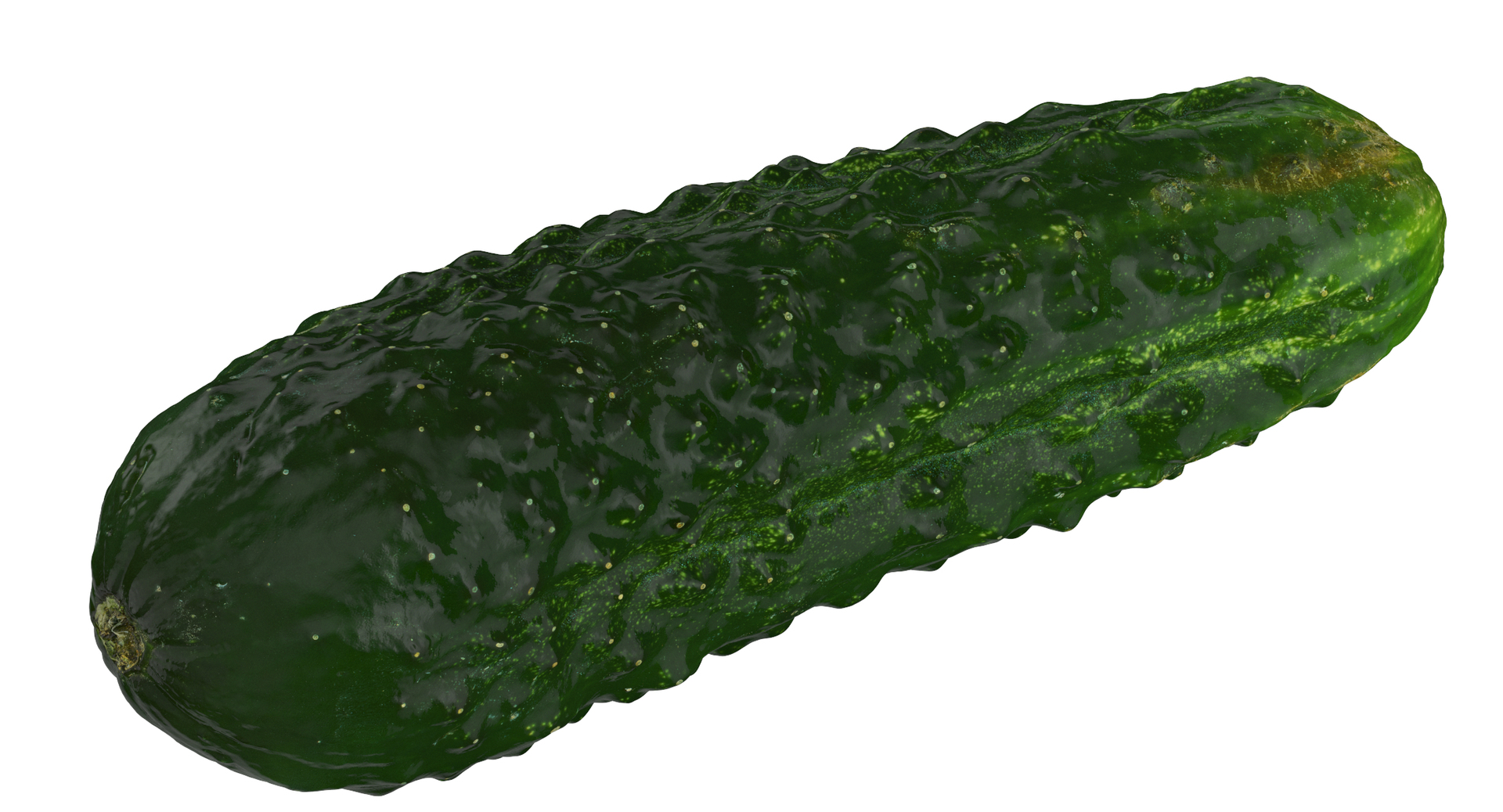 Vegetables Collection 05 - 10 models model https://p.turbosquid.com/ts-thumb/Ip/4m3vwZ/RN/0000/jpg/1574846875/1920x1080/turn_fit_q99/037758da3761075a834f2994b178b4a583218753/0000-1.jpg
