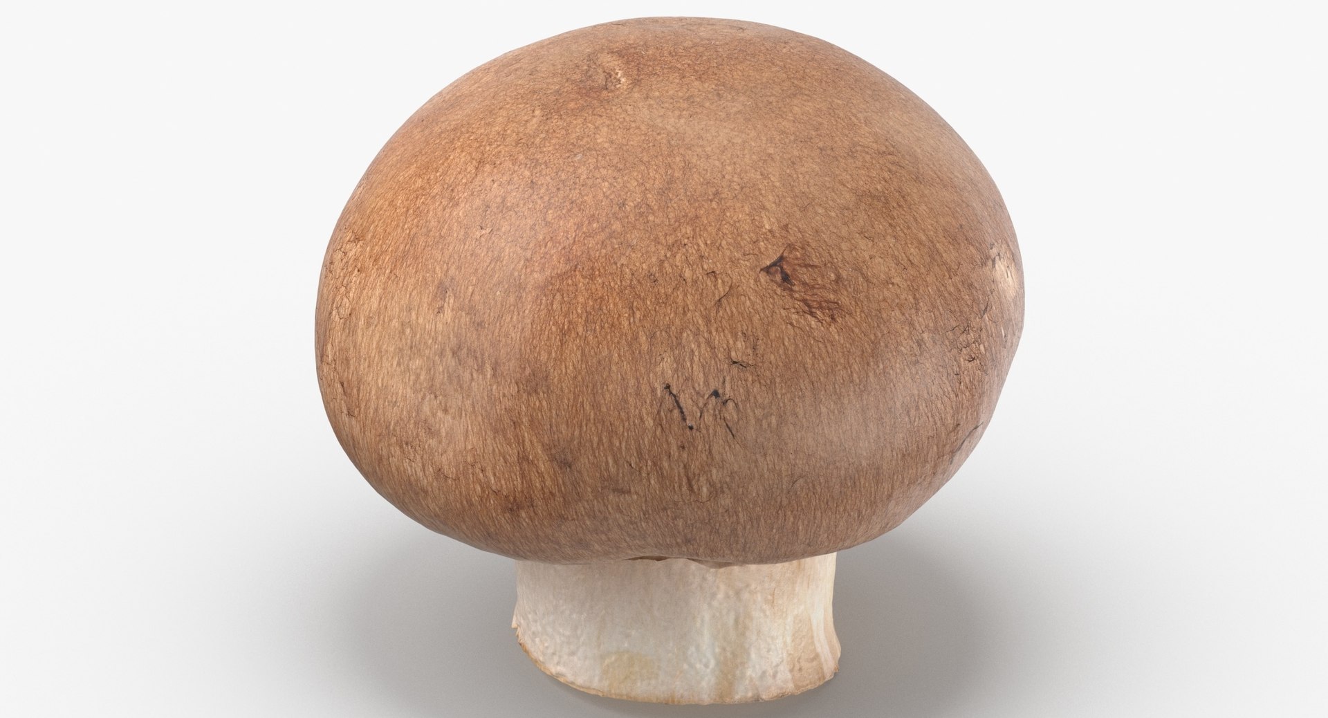 Vegetables Collection 05 - 10 models model https://p.turbosquid.com/ts-thumb/Ip/4m3vwZ/Sm/crimino_mushroom_01_thumbnail_0006.jpg2c4e46a244e145c28cb066ba52bd15cazoom/jpg/1635428207/1920x1080/fit_q87/0caaf82543831ed652f609de808e90c00a3656d5/crimino_mushroom_01_thumbnail_0006.jpg2c4e46a244e145c28cb066ba52bd15cazoom.jpg