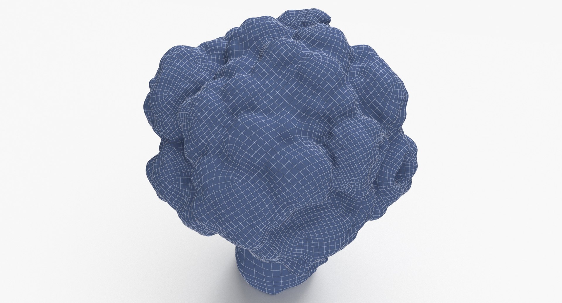 Vegetables Collection 05 - 10 models model https://p.turbosquid.com/ts-thumb/Ip/4m3vwZ/U8/broccoli_stem_01_wireframe_0003/jpg/1635428302/1920x1080/fit_q87/0750e48e4c802980f326f9dda143f7667f92c7c5/broccoli_stem_01_wireframe_0003.jpg
