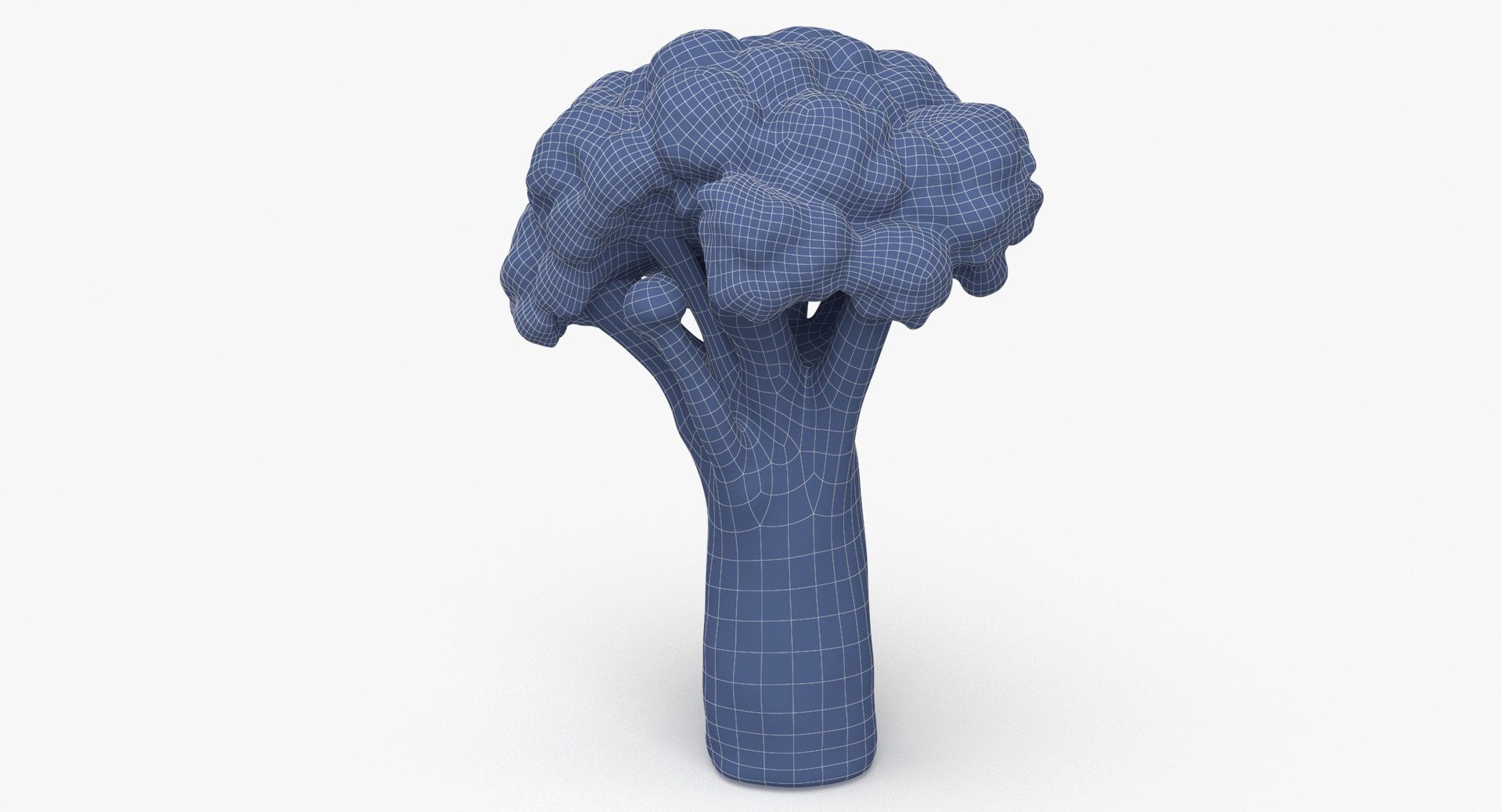 Vegetables Collection 05 - 10 models model https://p.turbosquid.com/ts-thumb/Ip/4m3vwZ/W2/broccoli_stem_01_wireframe_0006/jpg/1635428302/1920x1080/fit_q87/b884053137ea137b065903736b2d3eb37b575d96/broccoli_stem_01_wireframe_0006.jpg