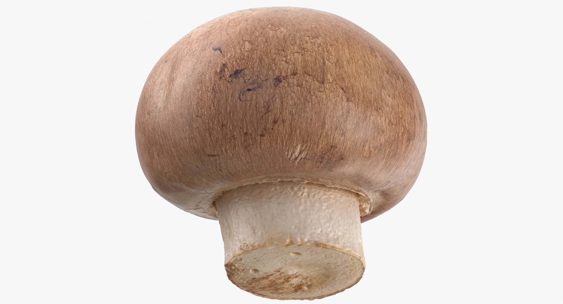 Vegetables Collection 05 - 10 models model https://p.turbosquid.com/ts-thumb/Ip/4m3vwZ/gs/crimino_mushroom_01_thumbnail_0007.jpg13b1eac17b6b4b32846cd2bae11d54bfzoom/jpg/1635428206/1920x1080/fit_q87/4e8133a6e9c5368d8876f17fb1483ab908f4d28d/crimino_mushroom_01_thumbnail_0007.jpg13b1eac17b6b4b32846cd2bae11d54bfzoom.jpg