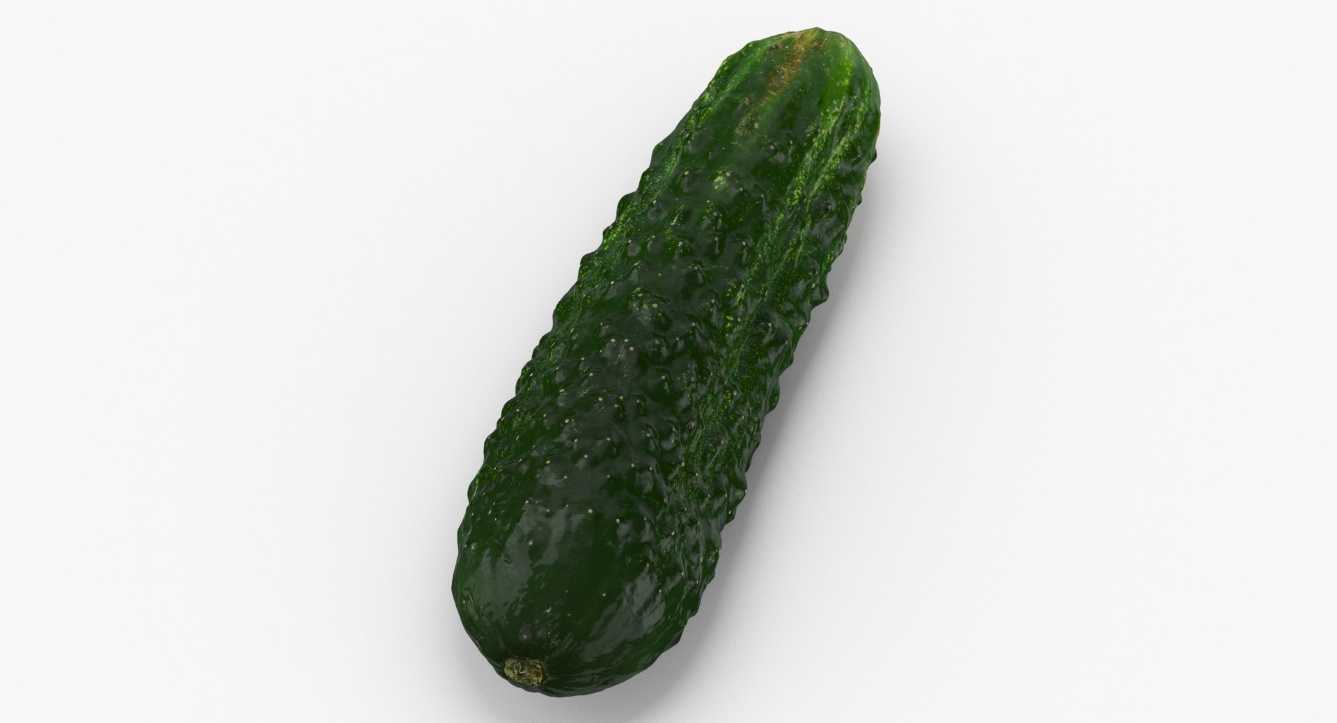 Vegetables Collection 05 - 10 models model https://p.turbosquid.com/ts-thumb/Ip/4m3vwZ/vl/kirby_cucumber_04_thumbnail_.0005/jpg/1635428232/1920x1080/fit_q87/30263178bbc7f0f59c117bb4c4ad6a30bd2971fa/kirby_cucumber_04_thumbnail_.0005.jpg