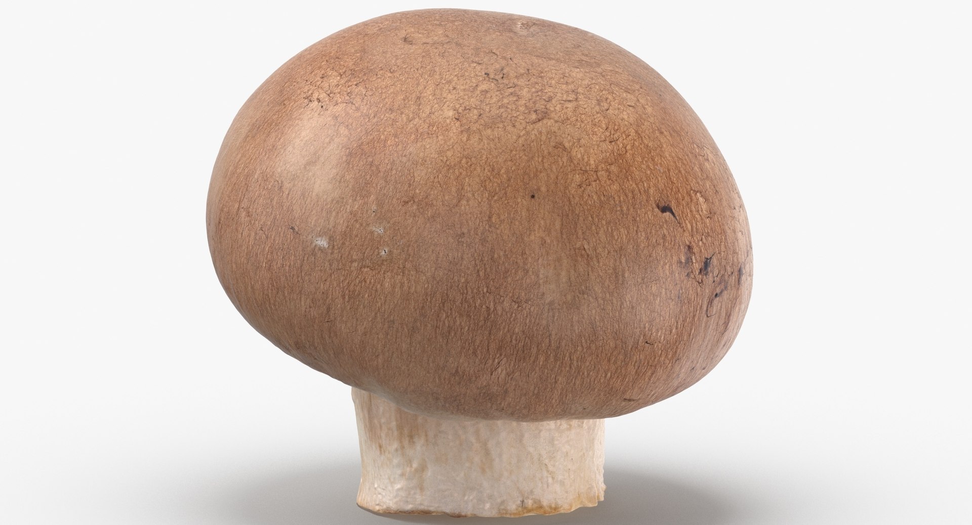Vegetables Collection 05 - 10 models model https://p.turbosquid.com/ts-thumb/Ip/4m3vwZ/xr/crimino_mushroom_01_thumbnail_0005.jpg565ae29f0bfd42ed944f3355d2ee2ebdzoom/jpg/1635428205/1920x1080/fit_q87/ec9554ba50360860dbb13f20cbd3744a54e5fbc0/crimino_mushroom_01_thumbnail_0005.jpg565ae29f0bfd42ed944f3355d2ee2ebdzoom.jpg