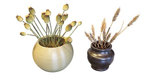 Wheat and Poppy Kit 3D model