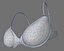Brassiere