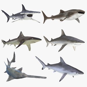 Rigged Sharks Collection 7 for Maya