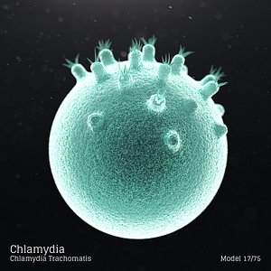 Chlamydia - Chlamydia Trachomatis
