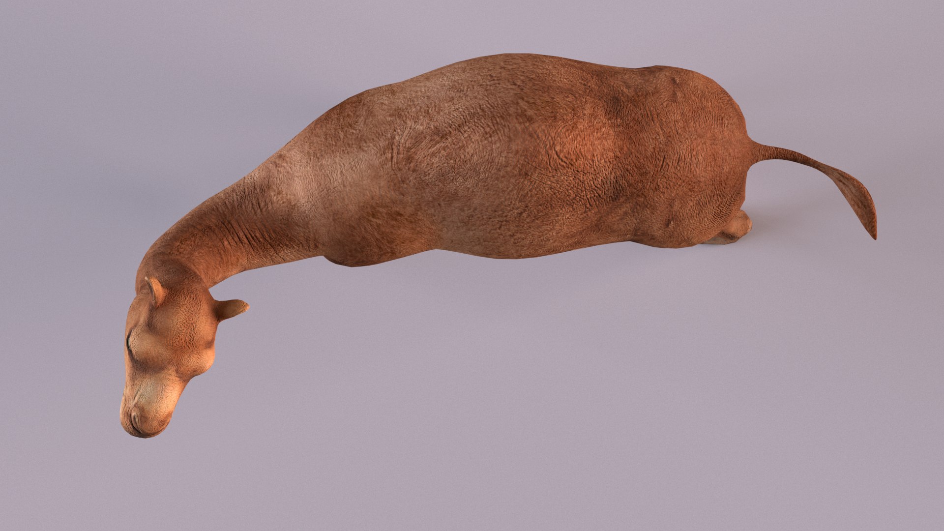 3D Camel Rigged https://p.turbosquid.com/ts-thumb/Ip/eJRPai/8W/productshot03/png/1730789197/1920x1080/fit_q87/3d278d8674cd665ef865f635e5c9f27840355212/productshot03.jpg