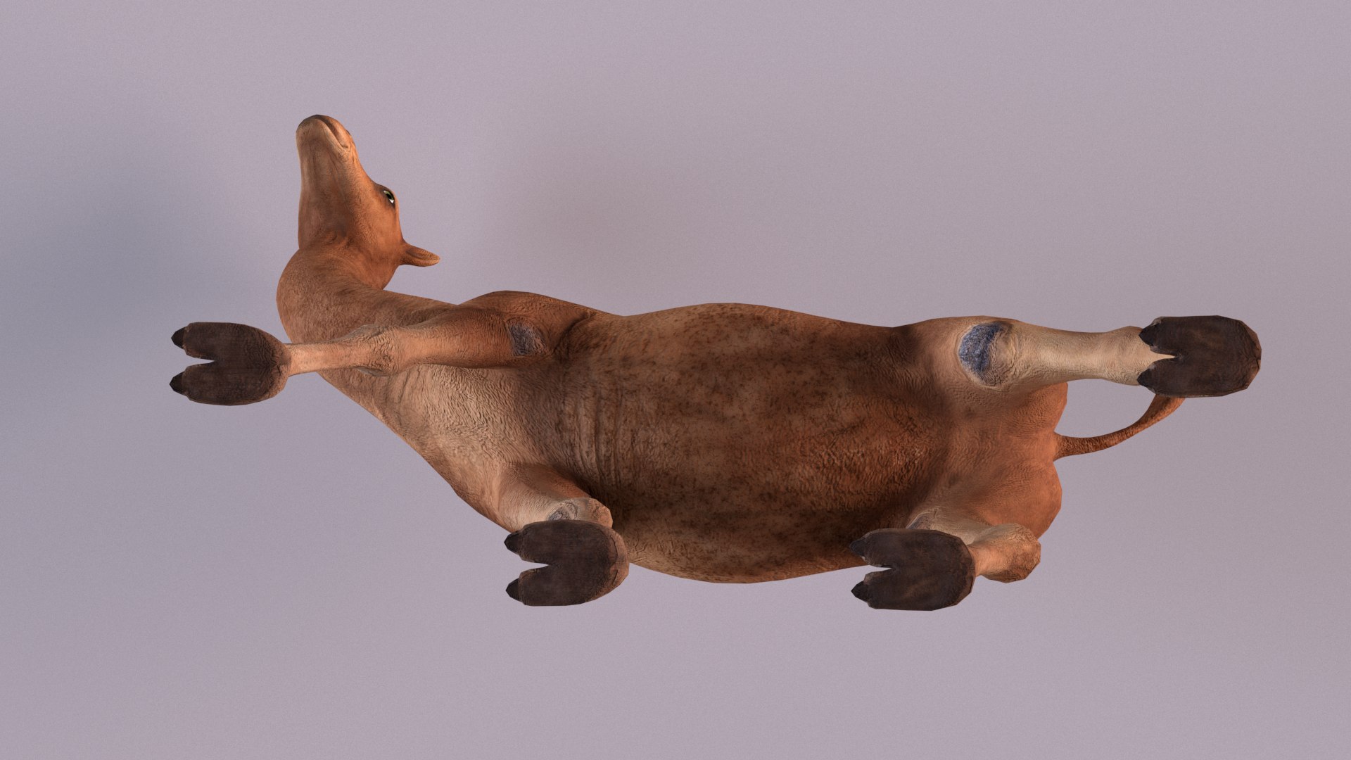 3D Camel Rigged https://p.turbosquid.com/ts-thumb/Ip/eJRPai/kb/productshot04/png/1730789195/1920x1080/fit_q87/b93d278908a9cd56c40c246b07e1c2a74a17b93c/productshot04.jpg