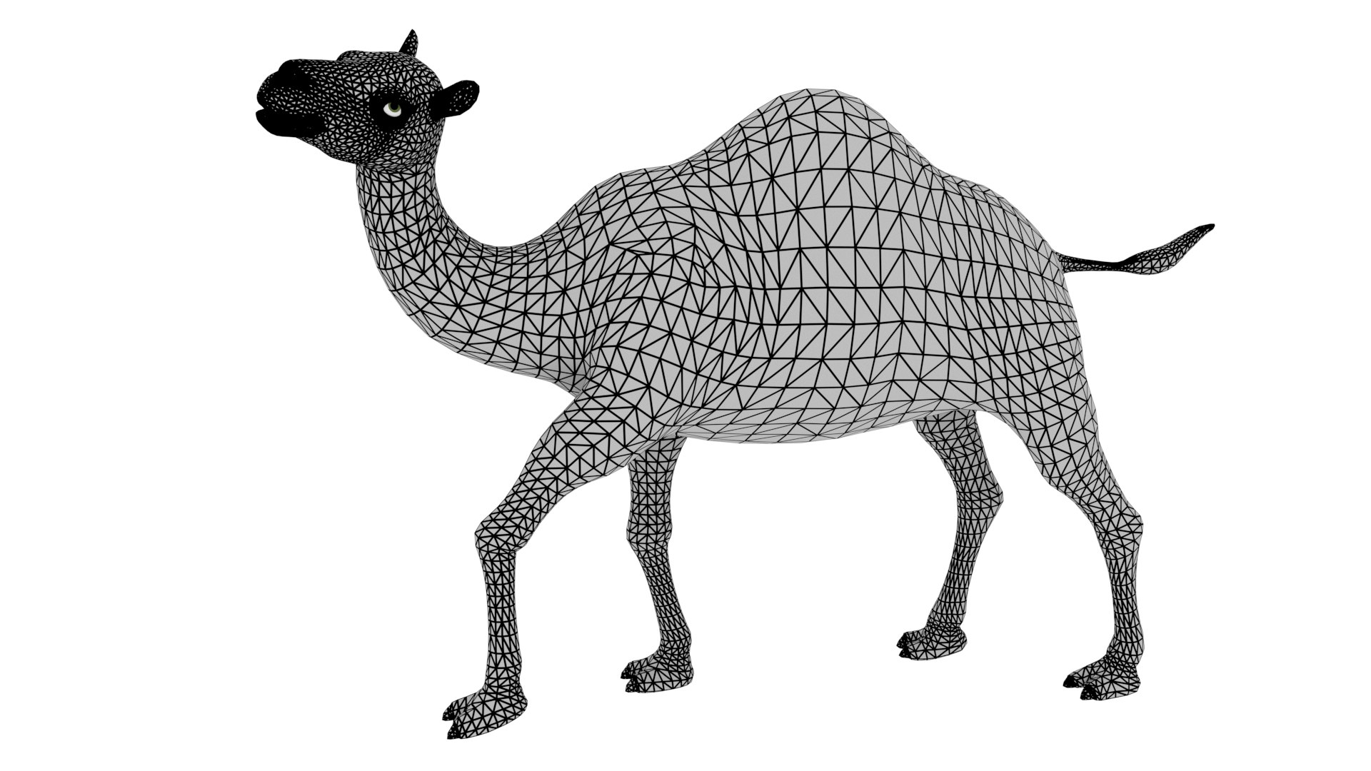 3D Camel Rigged https://p.turbosquid.com/ts-thumb/Ip/eJRPai/p6/wireframe/png/1730793385/1920x1080/fit_q87/aa57f64f830695f8b2cb39c5a3b40df6ab8fc54b/wireframe.jpg