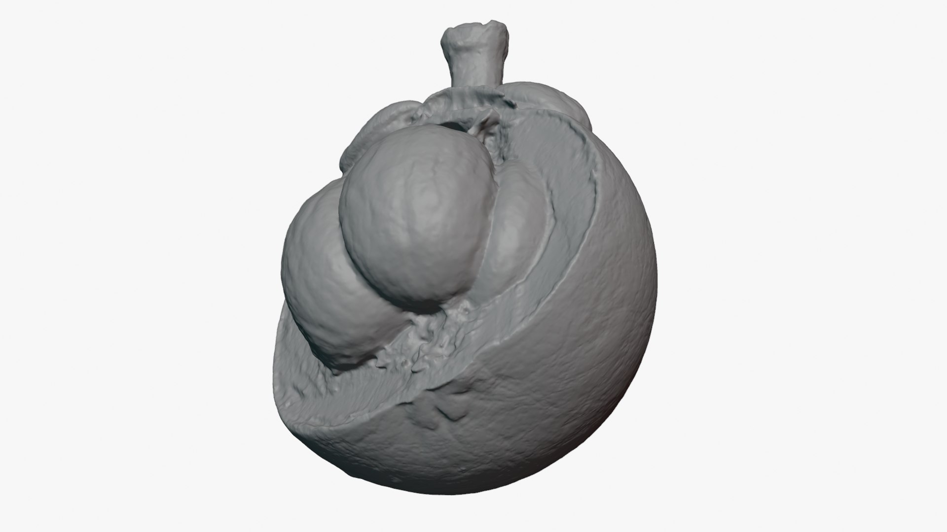 Half Mangosteen 02 - For 3D Print 3D model https://p.turbosquid.com/ts-thumb/Ip/homtg5/BY/mangosteencut02_0011/png/1766157228/1920x1080/fit_q87/1fadd932d9009dd5e59bd0c871427df19a7e2c7a/mangosteencut02_0011.jpg