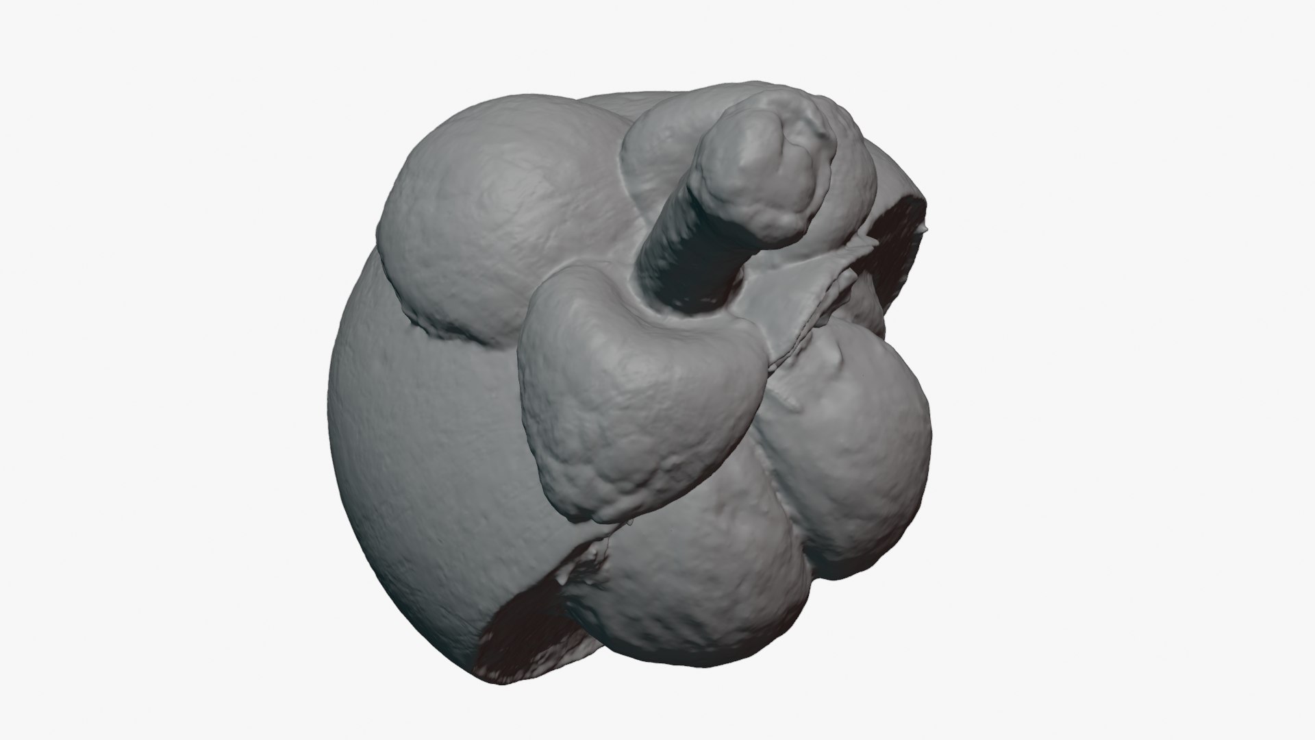 Half Mangosteen 02 - For 3D Print 3D model https://p.turbosquid.com/ts-thumb/Ip/homtg5/KM/mangosteencut02_0009/png/1766157199/1920x1080/fit_q87/275e70e0f56924e623f42e591325053906da235c/mangosteencut02_0009.jpg