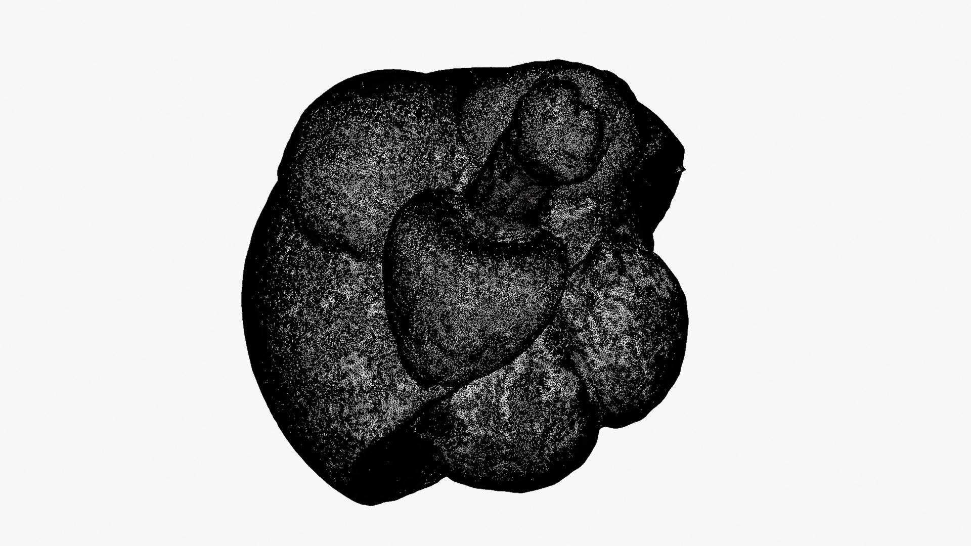 Half Mangosteen 02 - For 3D Print 3D model https://p.turbosquid.com/ts-thumb/Ip/homtg5/Ne/mangosteencut02_d0009/png/1766157208/1920x1080/fit_q87/227121db9888205d696e7b05b0444ebdaafcc776/mangosteencut02_d0009.jpg