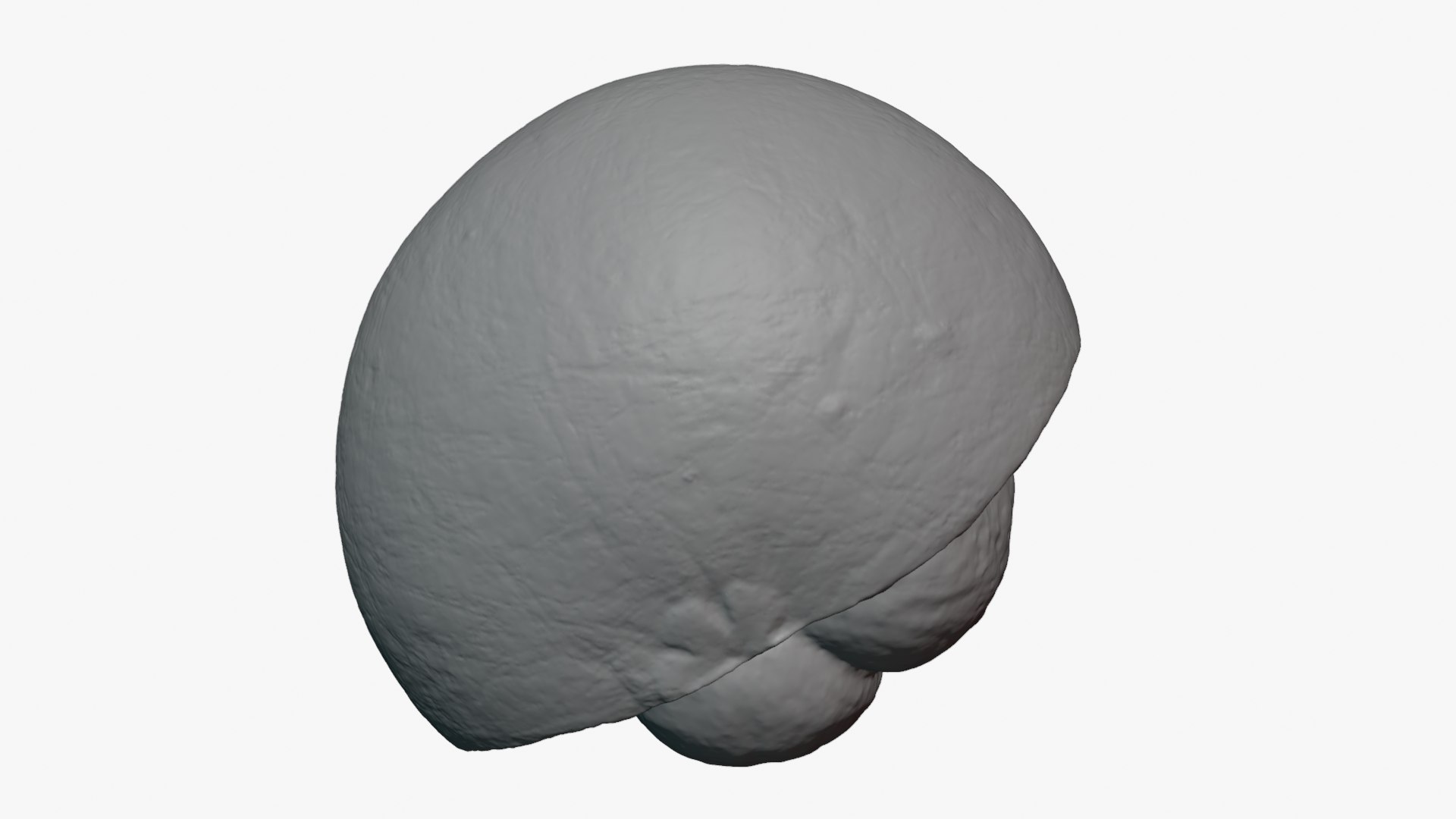 Half Mangosteen 02 - For 3D Print 3D model https://p.turbosquid.com/ts-thumb/Ip/homtg5/fV/mangosteencut02_0010/png/1766157201/1920x1080/fit_q87/8ae7a842cd927886fa7bc21e737a7eca537273f7/mangosteencut02_0010.jpg