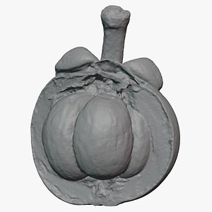 Half Mangosteen 02 - For 3D Print 3D model