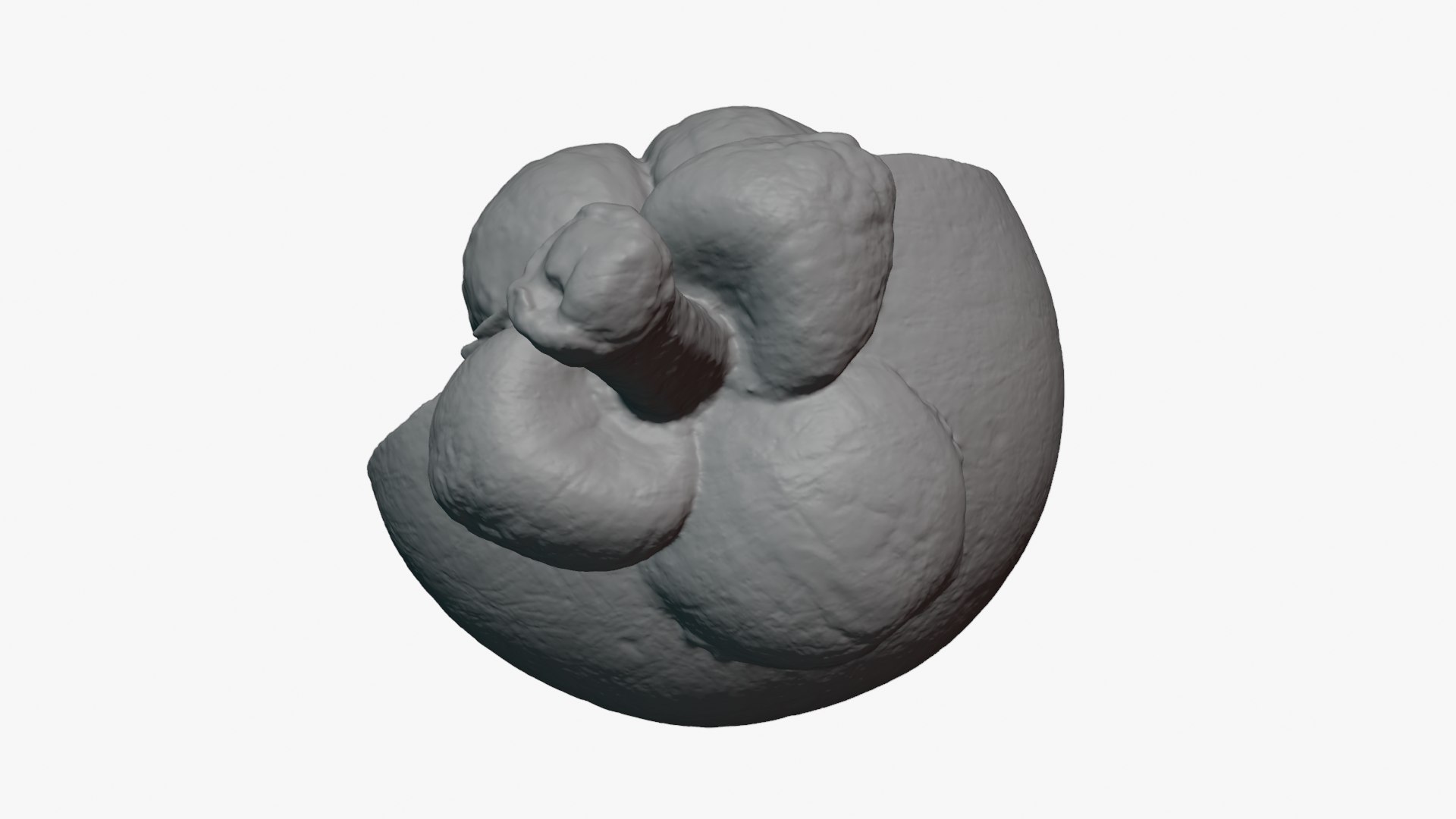 Half Mangosteen 02 - For 3D Print 3D model https://p.turbosquid.com/ts-thumb/Ip/homtg5/pV/mangosteencut02_0003/png/1766157187/1920x1080/fit_q87/67cd5898188ca58a5e2c7e13f0e226d6c0b4aae2/mangosteencut02_0003.jpg