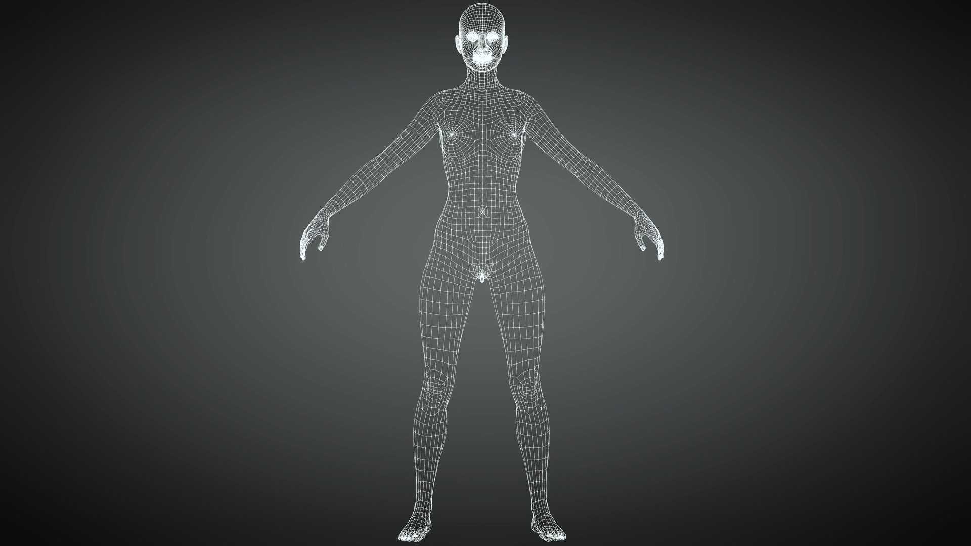 Female Genitalia Pack 9 Models For Character Creator 3 And 4 3d Turbosquid 1960760 2164