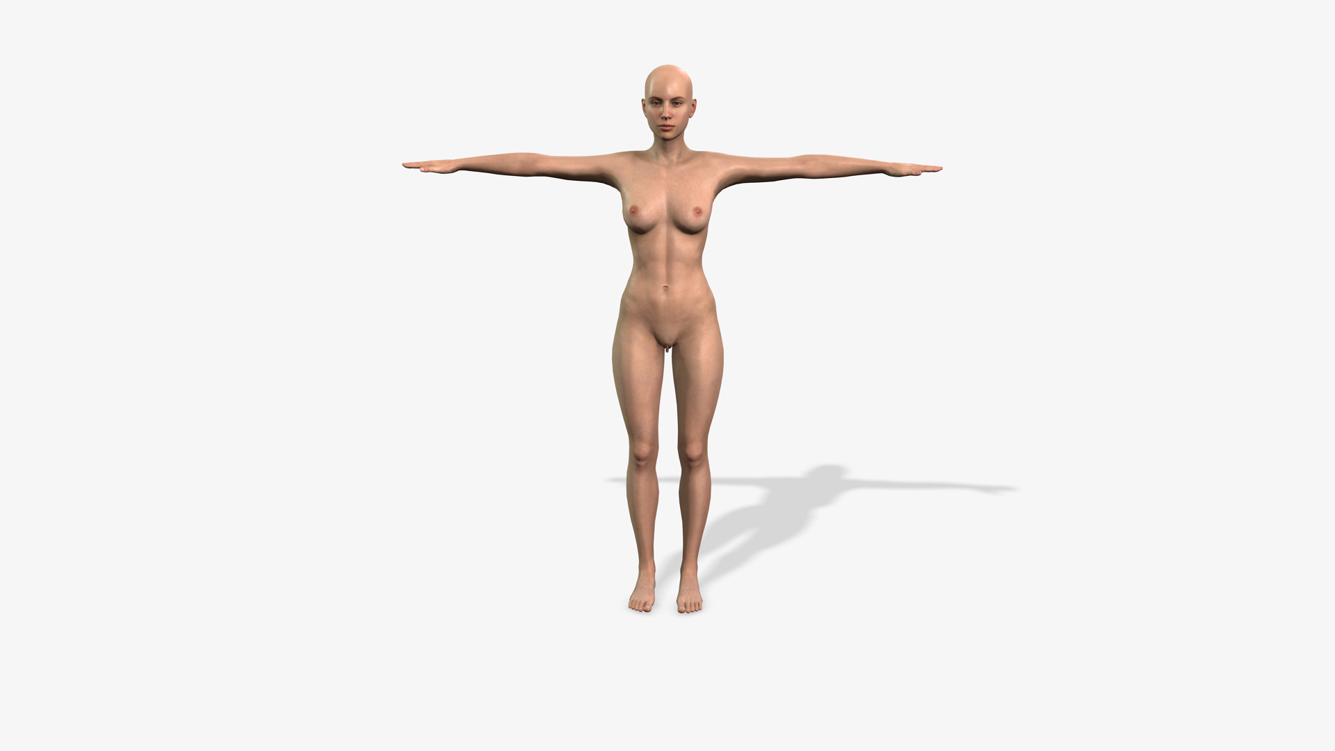 Female Genitalia Pack 9 Models For Character Creator 3 And 4 3D -  TurboSquid 1960760