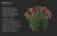 XfrogPlants HDPlants 3 model