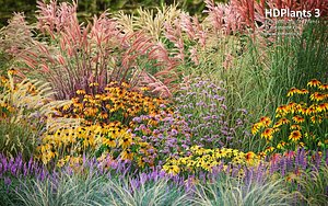 XfrogPlants HDPlants 3